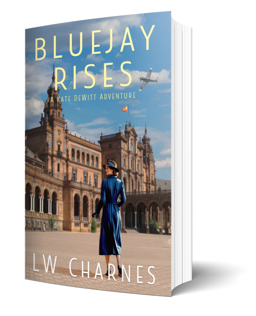 3D rendering of a placeholder cover for Bluejay Rises